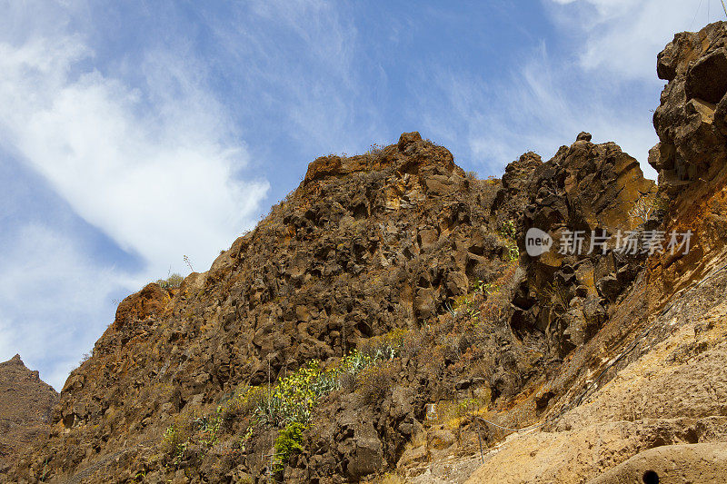 Barranco de Guayadeque -格兰卡纳利亚